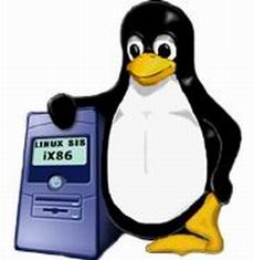 linux server